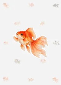 水彩金魚 着せかえ｜グレーのメイン画像