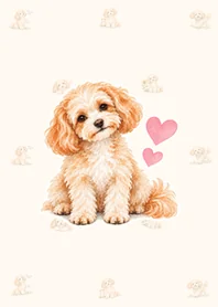ふわふわマルプー 癒しの着せかえのメイン画像