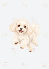 水彩のマルチーズ着せかえのメイン画像