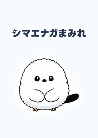 シマエナガ★きづかいきせかえのメイン画像