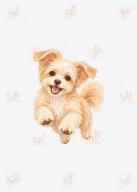 水彩のチワプー着せかえのメイン画像