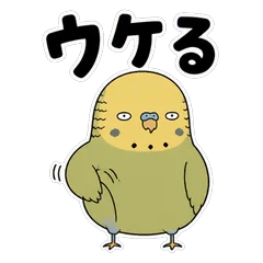 キモかわいい黄色セキセイインコのメイン画像