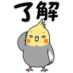 キモかわいいオカメインコ ノーマルのメイン画像
