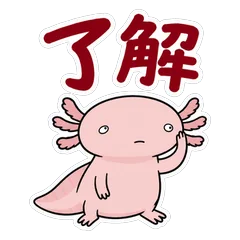 キモかわいい★ウーパールーパー 毎日のメイン画像