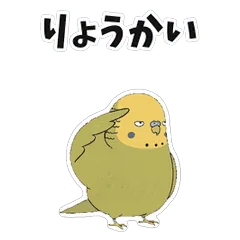 動く!キモかわいいセキセイインコのメイン画像