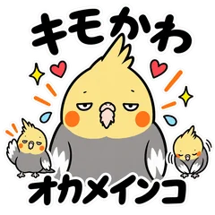 キモかわいい★毎日使えるオカメインコ40のメイン画像