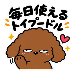 キモかわトイプードル 毎日返信40のメイン画像