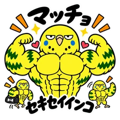 筋トレ好きのマッチョなセキセイインコのメイン画像