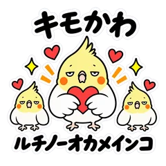 キモかわ★ルチノーオカメインコの返信40のメイン画像