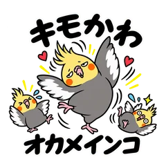 キモかわ★オカメインコの毎日返信40のメイン画像