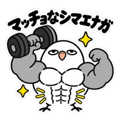 マッチョシマエナガ筋トレ・筋肉スタンプのメイン画像