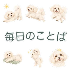 水彩のマルチーズと毎日のあいさつのメイン画像