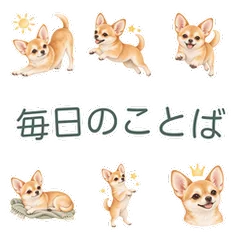 水彩のチワワと毎日のあいさつのメイン画像