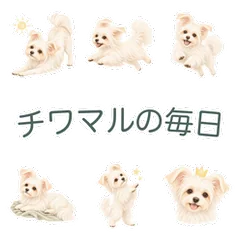 水彩のチワマルと毎日のあいさつのメイン画像