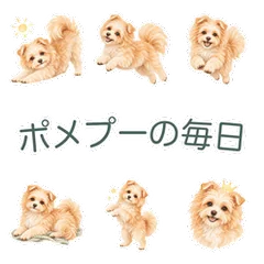 ふんわり水彩のポメプーと毎日のあいさつのメイン画像