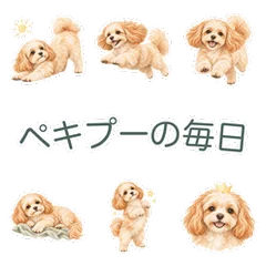 水彩のペキプーと毎日のあいさつのメイン画像