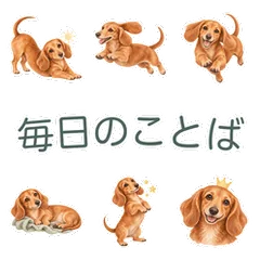 水彩ミニチュアダックスフンドの毎日のメイン画像