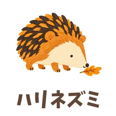 ハリネズミのちいさなお返事のメイン画像