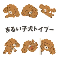 まるい子犬トイプーのメイン画像