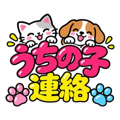 犬猫と暮らす家族40のメイン画像