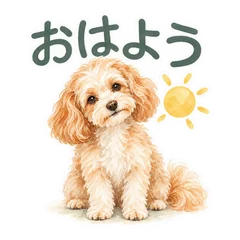 マルプーのやさしいお礼とお誘いのメイン画像