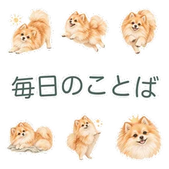ポメラニアン★毎日使えるのメイン画像