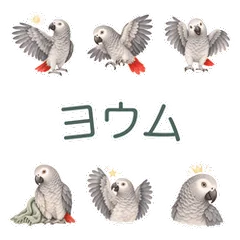 ヨウムと伝える丁寧なお礼のメイン画像