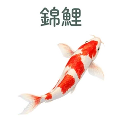 水彩の錦鯉で送る丁寧なあいさつのメイン画像