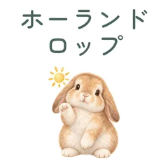 たれ耳うさぎの丁寧なあいさつのメイン画像