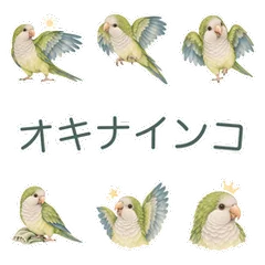 オキナインコの落ち着いた敬語のメイン画像