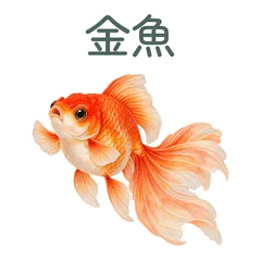 水彩の金魚と伝えるお礼と気づかいのメイン画像