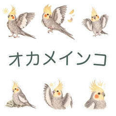オカメインコのほっこり気づかいのメイン画像