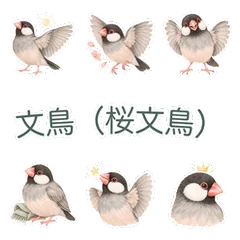 桜文鳥のきちんと敬語とお礼のメイン画像