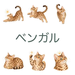 ベンガル猫の元気が出るひとことのメイン画像