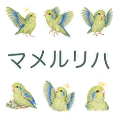 マメルリハの小さな応援のメイン画像