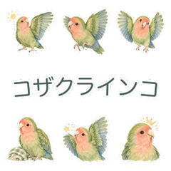 コザクラインコのあたたかいお礼のメイン画像