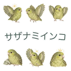 サザナミインコののんびりお返事のメイン画像