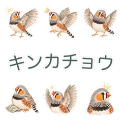 キンカチョウと伝える感謝とごあいさつのメイン画像