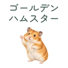 ゴールデンハムスターのお祝いとお礼のメイン画像