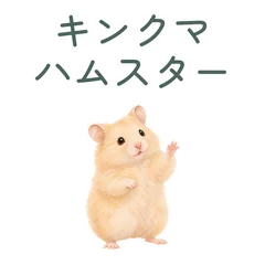 キンクマハムスターの小さなお礼のメイン画像