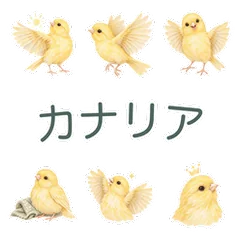 カナリアの明るい応援とあいさつのメイン画像