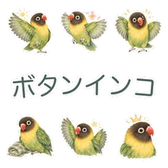 ボタンインコの元気なお礼と返事のメイン画像