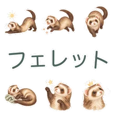 フェレットののんびり丁寧な返事のメイン画像