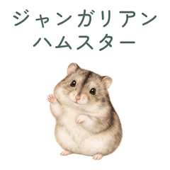 ジャンガリアンのちょこんと敬語のメイン画像