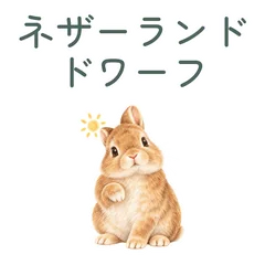 立ち耳うさぎのやさしい敬語のメイン画像