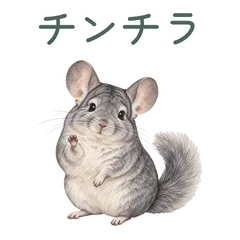 チンチラのふわふわ丁寧な返事のメイン画像