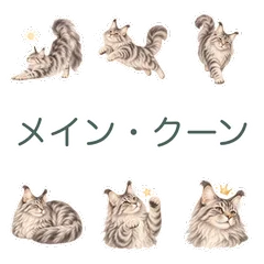 メインクーンと伝える応援とお礼のメイン画像