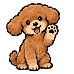 動く！トイプードルのあいさつのメイン画像