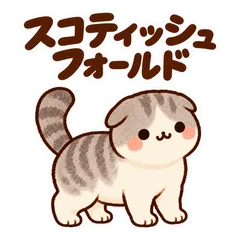 スコティッシュフォールドの挨拶と返事のメイン画像