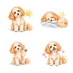 水彩タッチのマルプー風絵文字のメイン画像